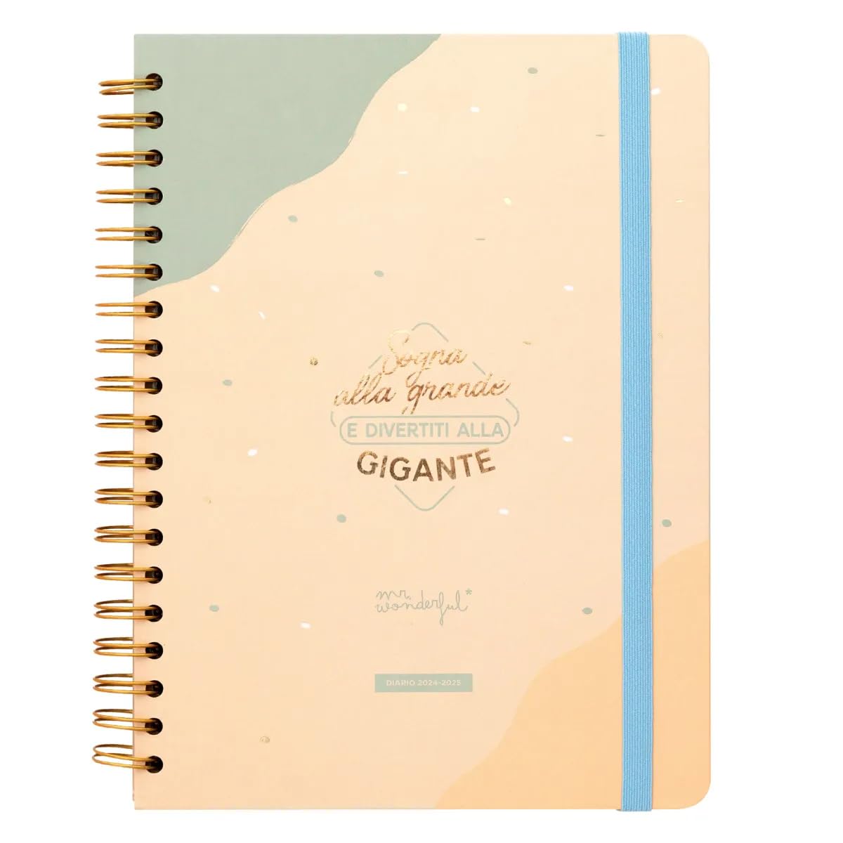 Mr.Wonderful Office 2024-25 Large Week to View School Diary - Dream Big and Have Fun at the Giant