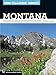 100 Classic Hikes: Montana: Glacier National Park, Western Mountain Ranges, Beartooth Range, Madison by Douglas Lorain
