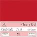 Clear Path Paper - Cherry Red Cardstock - 12 x 12 inch - 65Lb Cover - 25 Sheets