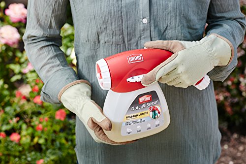 1 Ortho+Spray+Multi+Use+Hose+End+Sprayer