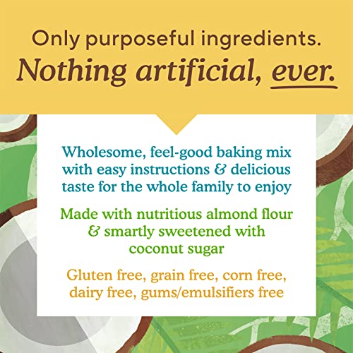 SIMPLE MILLS ALMOND FLOUR BAKING MIX, CHOCOLATE BROWNIE MIX – GLUTEN FREE, PLANT BASED, 12.9 OUNCE (PACK OF 3)