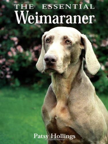 The Essential Weimaraner