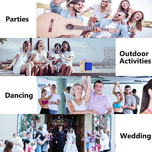 HIKEP Bluetooth Karaoke Machine with Disco Ball Wireless Microphone, Portable PA System Speaker