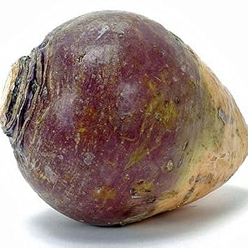 Image result for rutabaga
