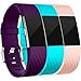 Maledan Replacement Bands for Fitbit Charge 2, Accessory Sport Wristbands Band Compatible for Fitbit Charge 2 HR Women Men, 3 Pack, Blush Pink/Teal/Plum, Small