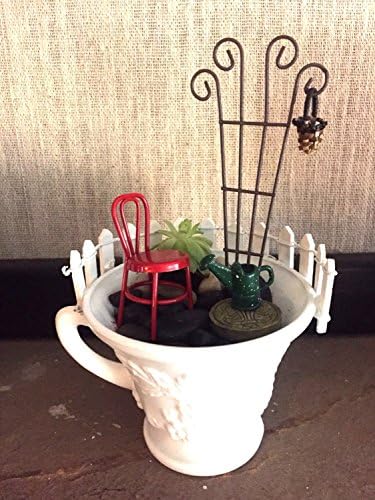 DIY Teacup Fairy Garden Kit