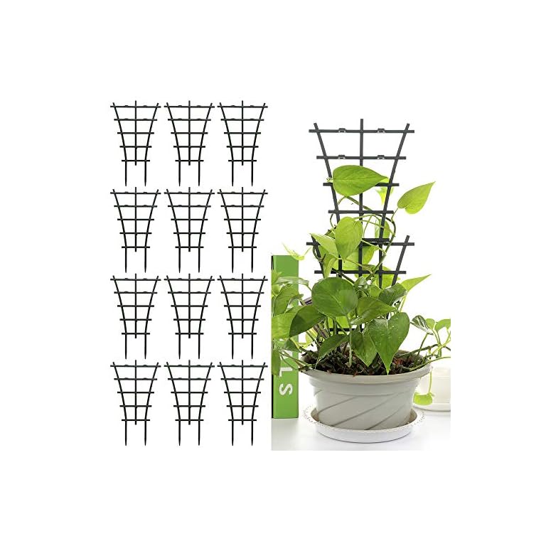 XINdream Climbing Plants Supports, 12PCS Plant Stem Support Plastic