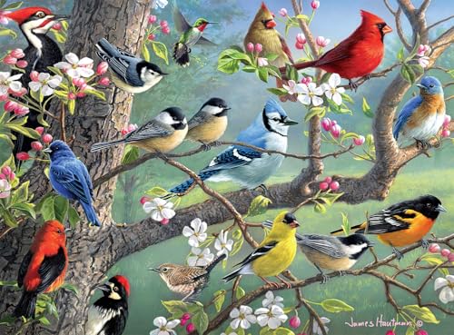 Buffalo Games - Hautman - Birds in an Orchard - 1000 Piece Jigsaw Puzzle For Adults -Challenging Puzzle Perfect for Game Nights - Finished Size is 26.75 x 19.75