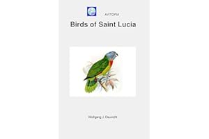 AVITOPIA - Birds of Saint Lucia