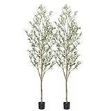 Bellacat Faux Olive Tree 7ft，Olive Trees