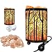 MAYMII·HOME Set of 2 Pack Forest Himalayan Salt Lamp Table Lamp Night Light(4.1x6.5in),Touch Dimmer Switch Control with Wall Night Light Set,Perfect Fit Himalayan Grey Salt Lamp