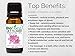 BioFinest Lily Flower Oil - 100% Pure Lily Flower Essential Oil - Premium Organic - Therapeutic Grade - Best For Aromatherapy - Better Sleep Quality- Help Ease Bad Mood -FREE EBook (10ml)