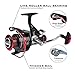 KastKing Sharky Baitfeeder III Spinning Reel 10+1 Shielded Stainless Steel BB – Carbon Fiber Drag for Live Liner Bait Fishing Action, Sharky Baitfeeder 4000