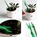 Huouo 8.8 Inches Wood Planter Succulent Container Box with 6 Pcs Mini Garden Planting Hand Tools Set
