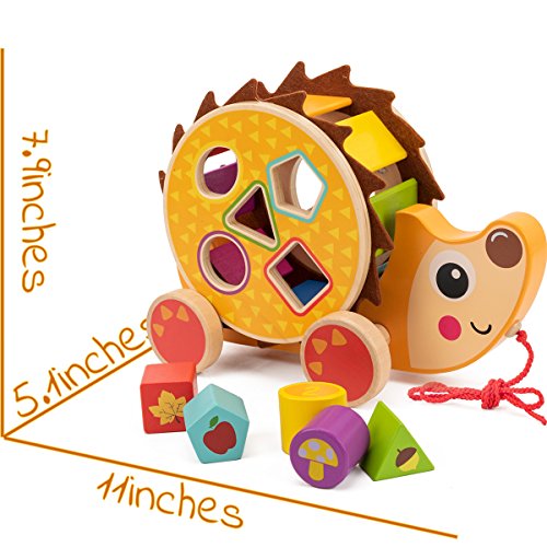 cossy Wooden Shape Sorter Pull Toy - Wooden Hedgehog Puzzle for Toddler Learning Walk-A-Long Push & Educational Toy for 1 Year Old