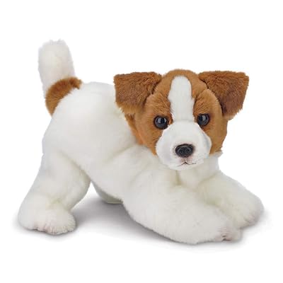 COACH ぬいぐるみ Signature Toy Jack Russell Amazon Jack Russell Terrier Plush COACH ぬいぐるみ Signature Toy