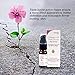 Marine Collagen Peptide + Hyaluronic Acid Triple Boost Serum-Anti-Aging Face Serum-Wrinkle-reducing and Hydrating (.47 oz) - by Hyalogic