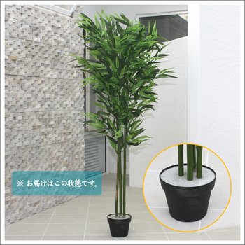 アウトレット送料無料 人工観葉植物 光触媒 バンブー 竹 150cm B00trocbos 史上最も激安 Ciac Uiu Ac
