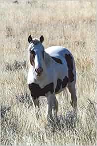 The Mustang Journal 150 Page Lined Notebook Diary Horse