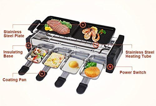 Dtes Compact Electric Barbecue Grill and Tandoor - Now with Frying and Roasting Function