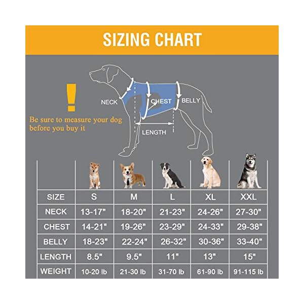 Coodeo Dog Lift Harness Support Recovery Sling Pet Rehabilitation Lifts Vest Adjustable Breathable Straps For Old Dogsfirm