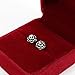 Women's Stainless Steel Rose Flower Screwback Stud Earrings (Silver) Bonnie