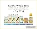 Zarbee's Naturals 96% Honey Cough Soothers + Immune with Elderberry, Vitamin C, D, and Zinc for Immune Support*, Natural Mixed Berry Flavor, 14 Drops