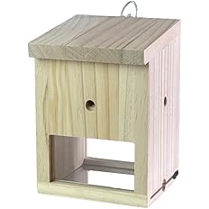Photo 1 of Carpenter Bee Observer, Untreated Pine Wood Device for Garden & Farm, Monitor Bee Activity to Protect Wood Structures from Damage
