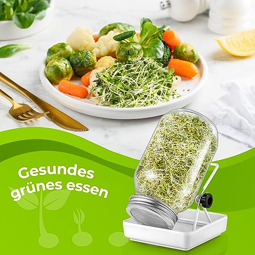 ecooe Sprossen SJFC01-N Germination Glass Set of 1 Germination Glasses for Sprouting Jar with 1 Water Bowl 1 Filter Mesh Cover Made of 304 Stainless Steel and 1 Stand