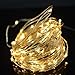 LED String Lights - 33FT100 LED String Lights Dimmable with Remote Control, Waterproof Decorative Lights For Garden, Patio, Gate, Yard, Bedroom, Wedding, Parties (Silver Wire Lights，Warm White)
