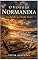 Livro O Vento da Normandia: Uma Batalha Que Decidiu Séculos (Ecos da Guerra: Contos de Resistência, Sobrevivência e Esperança na Segunda Guerra Mundial)