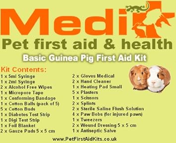 buffalo plaid dog collar and leash