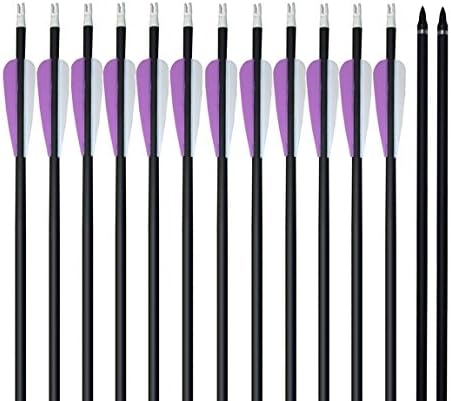 YJL 31 Inches Carbon Arrows Archery Hunting/Target Arrows with Replaceable Screw Field Points for Recurve bow and Long bow Spine 400