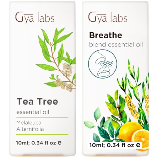 Tea Tree Oil for Skin & Breathe Essential Oil Blends - 100% Natural Aromatherapy Grade Essential Oils Set - 2x0.34 Fl Oz - Gya Labs