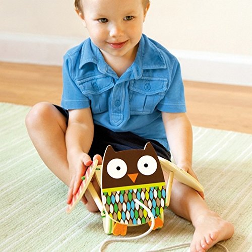 skip hop owl push toy