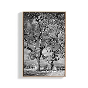 Framed Home Artwork Plants for Living Room Bedroom