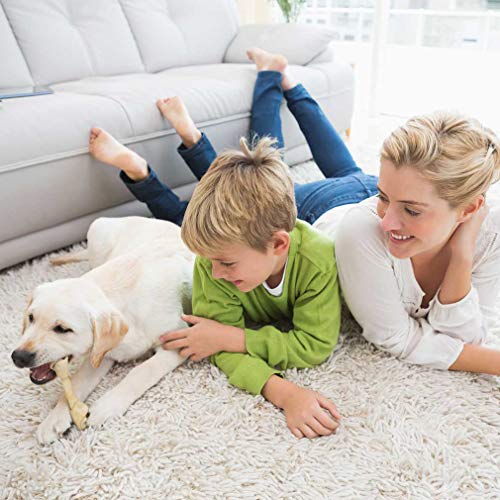 1 Best+Pet+Swanky+Stroller+Red