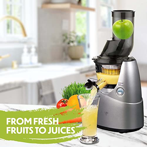 Kuvings Whole Slow Juicer B6000S Higher Nutrients and Vitamins, BPA