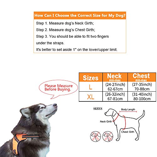 baobë Adjustable Outdoor Pet Vest Light Weight Dog Harness Dogs Leash Set with Reflective Oxford Material for Large Medium Dogs Outdoor Training Walking