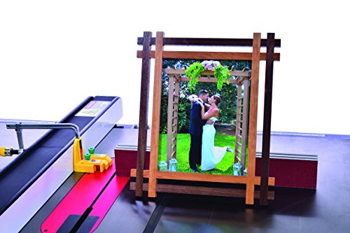 MATCHFIT Dado Stop Pro by MICROJIG