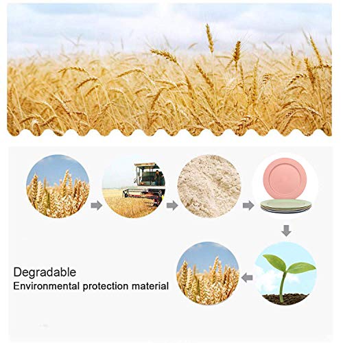 Shopwithgreen 6 pc 10 Inch Dinner Plates - Lightweight Unbreakable Wheat Straw Plates - Dishwasher and Microwave Safe
