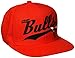 NBA Chicago Bulls Men's Tail Sweep Flat Brim Snapback Hat, Red, One Size