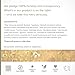 Annmarie Skin Care Probiotic Serum - Bio-Facial with Tremella Mushroom Extract, Probiotic Ferment + Astaxanthin (15ml / 0.5 fl oz)