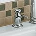 TRADITIONAL SOAP/LOTION DISPENSER