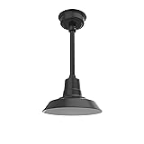 Cocoweb 12" Vintage LED Pendant Barn Light in Matte