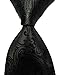 New Green Paisley Jacquard Woven Men's Tie Necktie (Black)