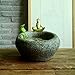Top Collection Garden Frog Meditating On Large Functional Stone Flower Pot Planter Figurine