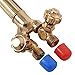 Goplus® 10PCS Oxygen & Acetylene Torch Kit, Welding & Cutting Gas Welder Tool Set w/Case