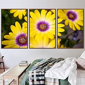 signwin 3 Piece Framed Canvas Wall Art Yellow...
