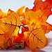 GIAGY Fall Decor,Fall Garland,Thanksgiving Decor,Christmas Decor Lighted Fall Wreath Halloween String Lights [ 14.7 Feet &40 Lights ]